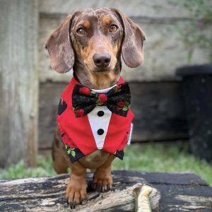 Tuxedos