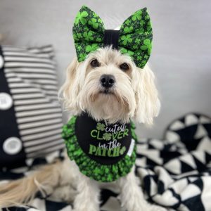 St Patrick’s Day
