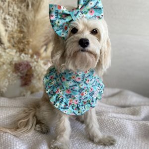 -Bandanas