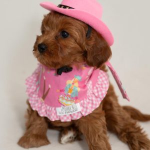 -Bandanas